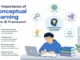 The Importance of Conceptual Learning in the IB Framework