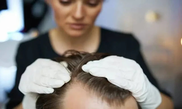 article_32543319_featured_1785818557-1