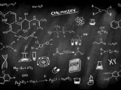 Biology Tuition That Makes Complex Concepts Finally Click